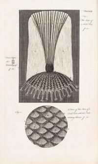 HOOKE, ROBERT. Micrographia Restaurata... London, 1745. Second edition, complete.