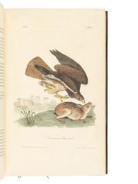 [AMERICANA]. AUDUBON, John James (1785-1851). The Birds of America, from Drawings Made in the United States and their Territories . New York and Philadelphia: J.J. Audubon and J.B. Chevalier, [1839-] 1840-1844.