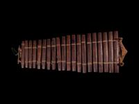 A Chinese Huanghuali Musical Instrument