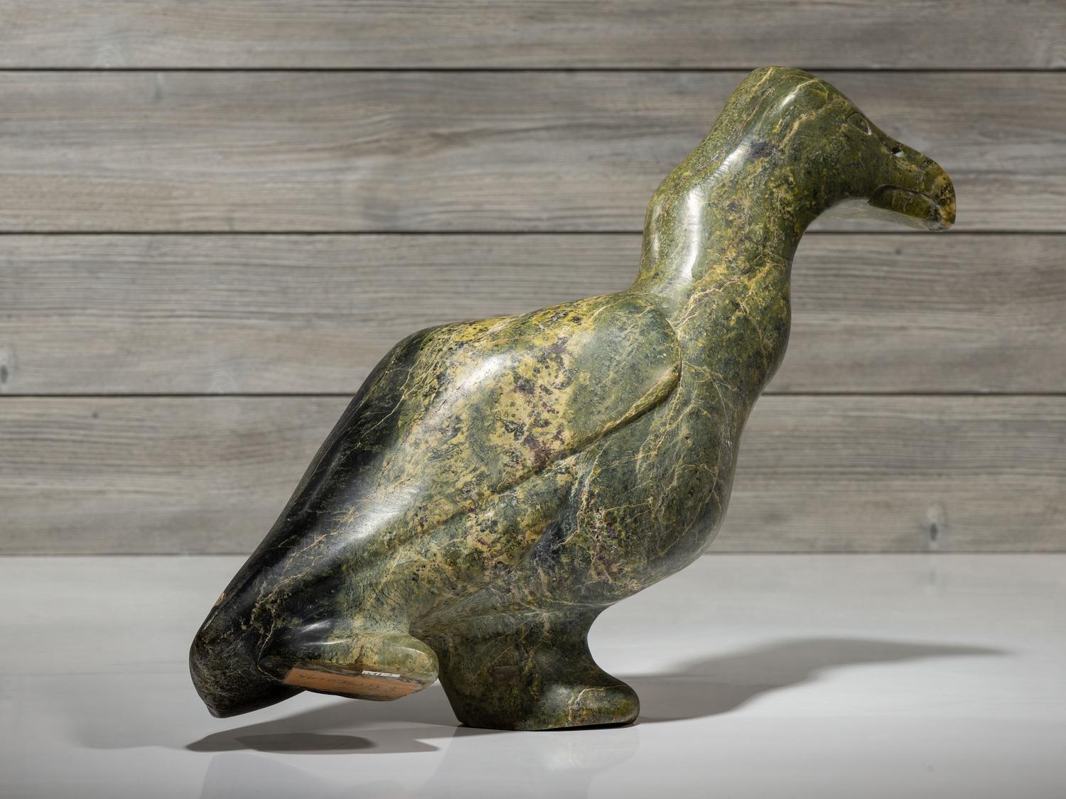 untitled, cormorant