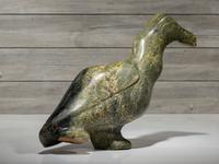 untitled, cormorant