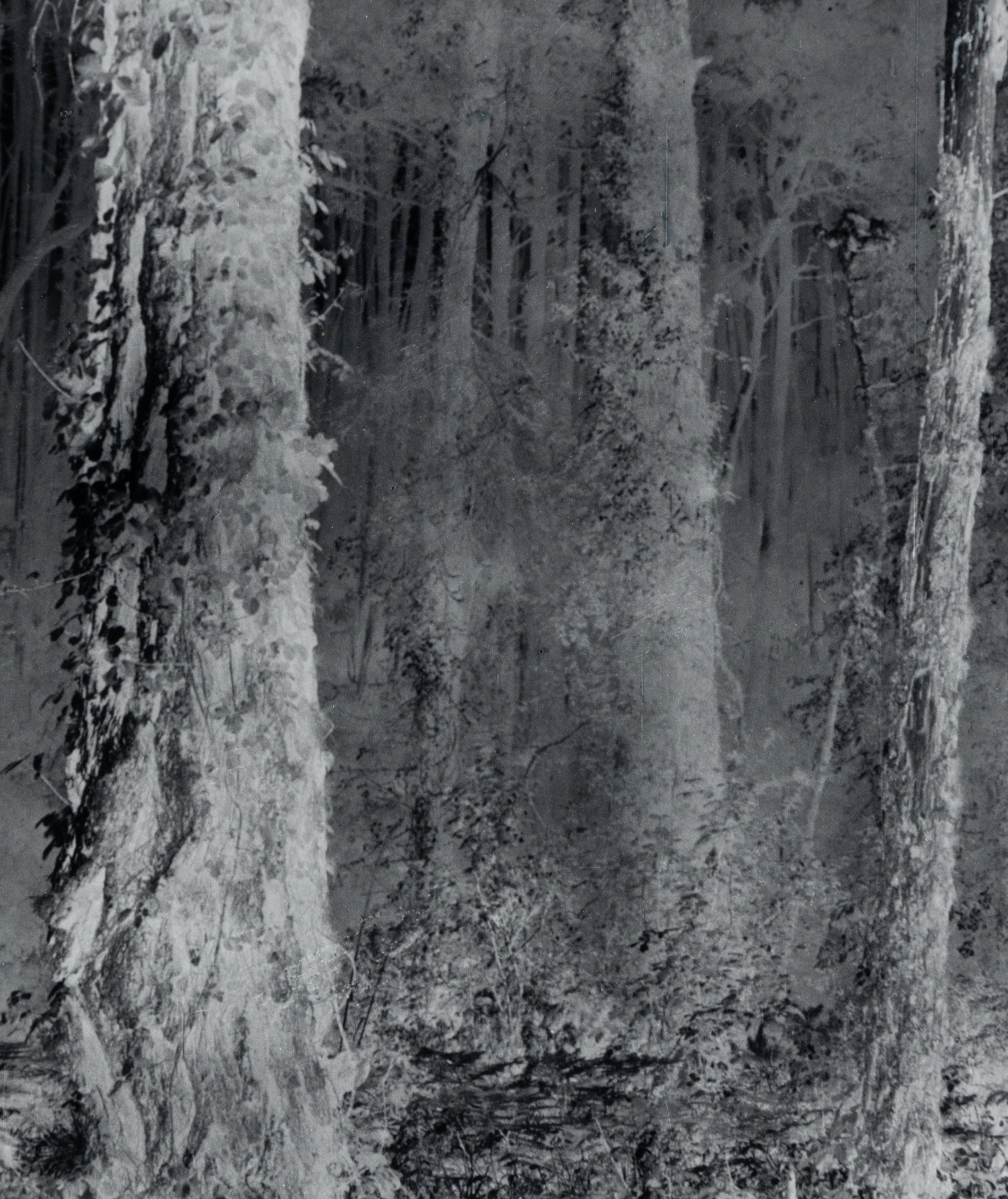 Untitled (Forest), 1970