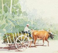 Farmer with Cart