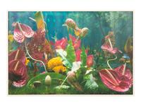 Garden² (complete portfolio of 8), 2000