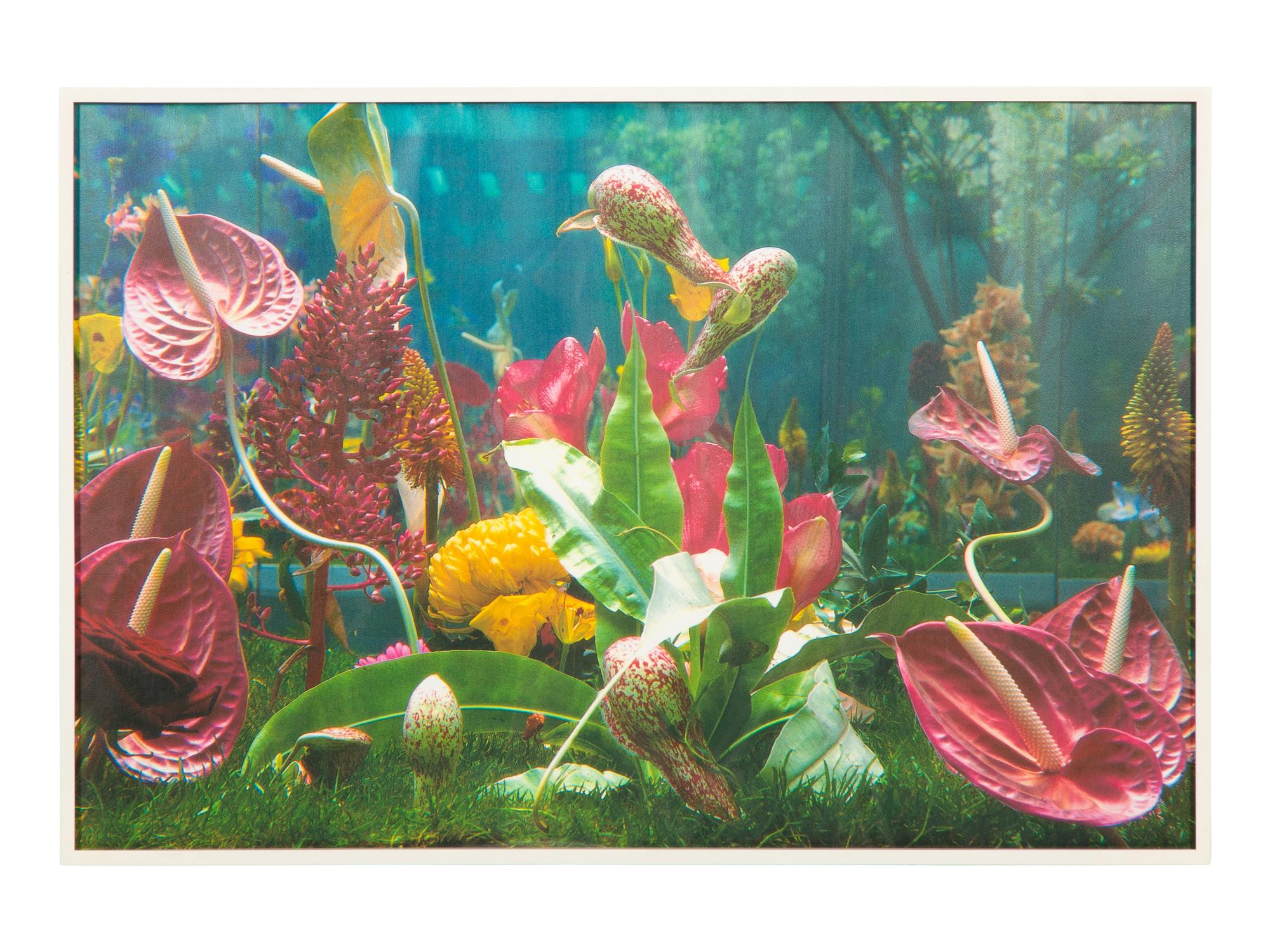 Garden² (complete portfolio of 8), 2000