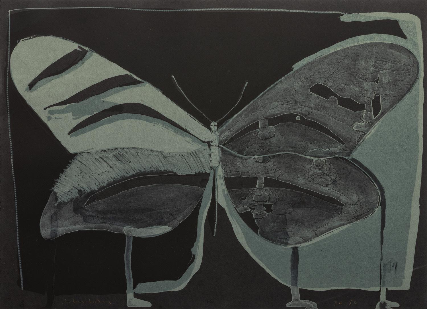 Night Butterfly , 36/50