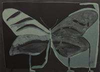 Night Butterfly , 36/50