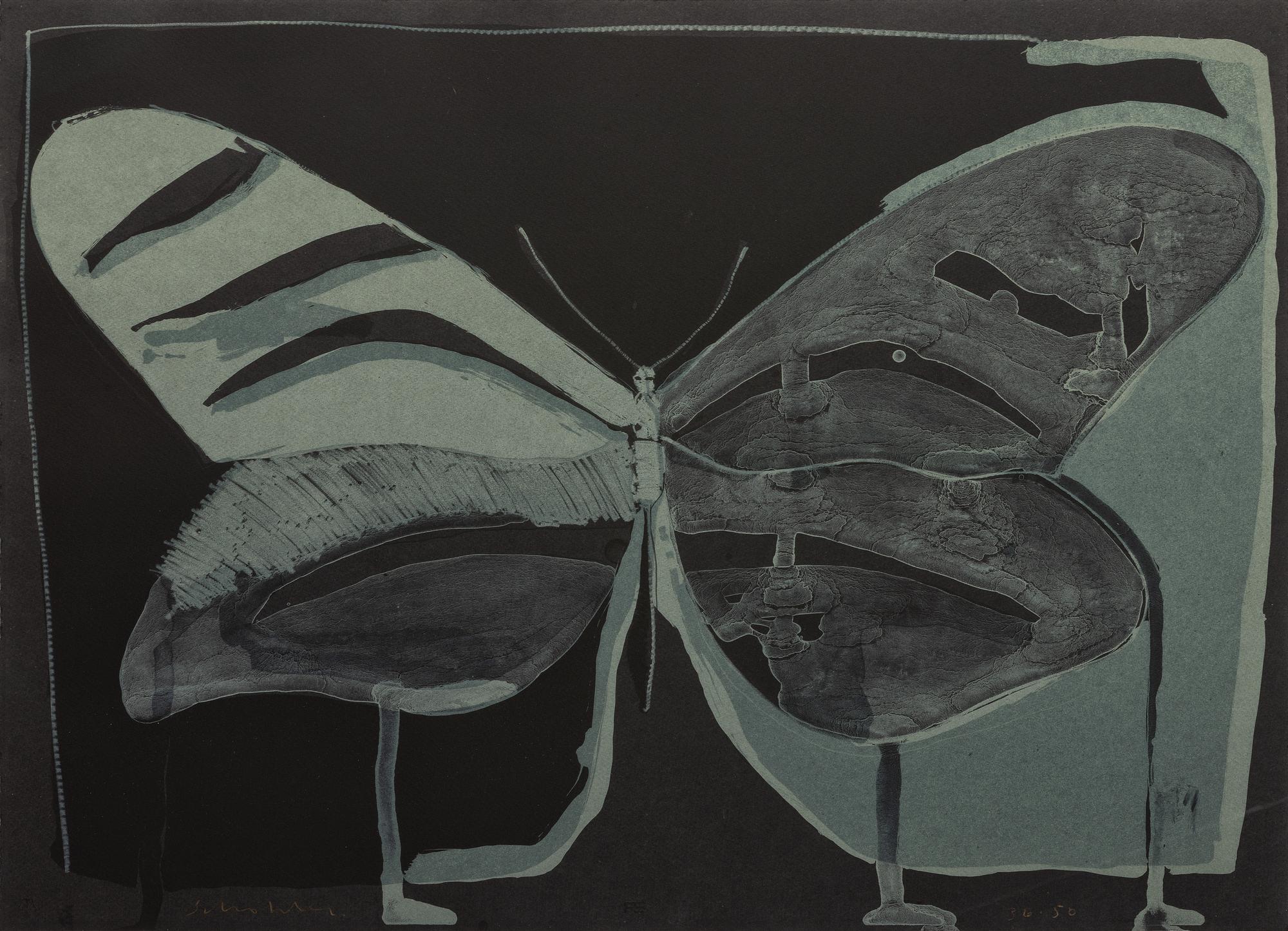 Night Butterfly , 36/50
