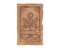 [Curiosa] Buchinger, Matthias. Original Transformation Drawing