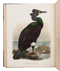 Elliot, Daniel Giraud. The New and Heretofore Unfigured Species of the Birds of North America