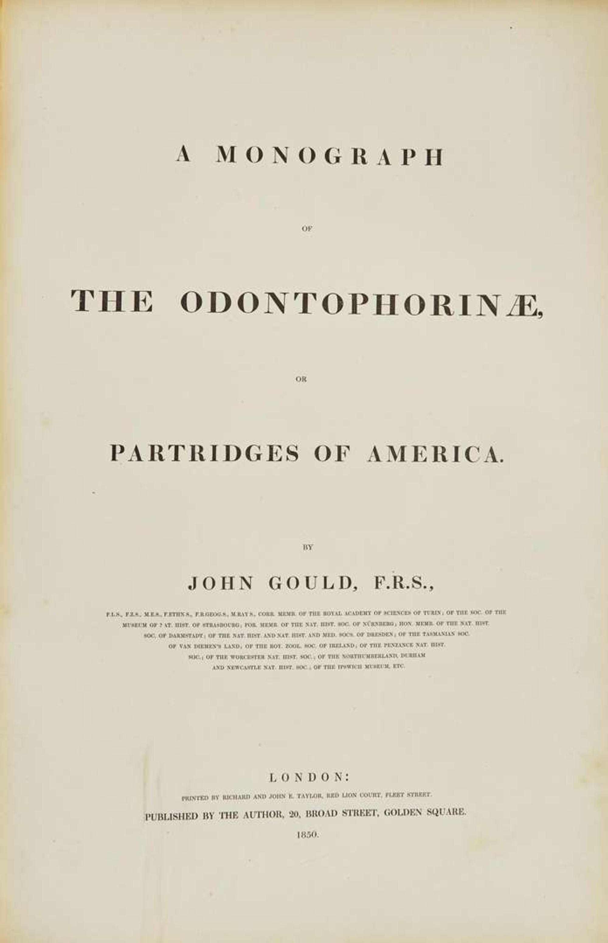 [Color-Plate Books] Gould, John: A Monograph of the Odontophorinae, or Partridges of America