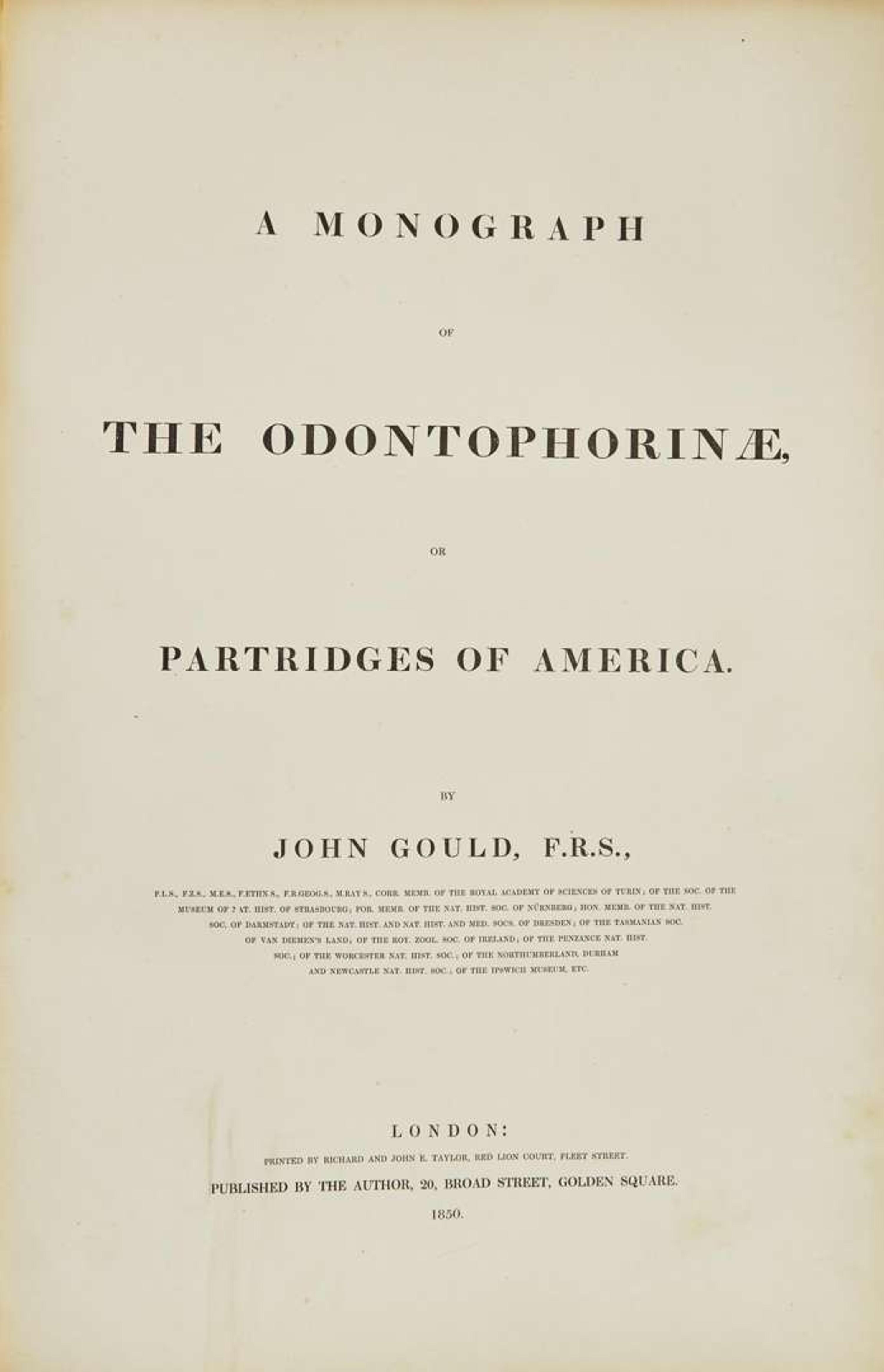 [Color-Plate Books] Gould, John: A Monograph of the Odontophorinae, or Partridges of America