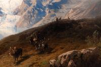 Highland with Reindeer