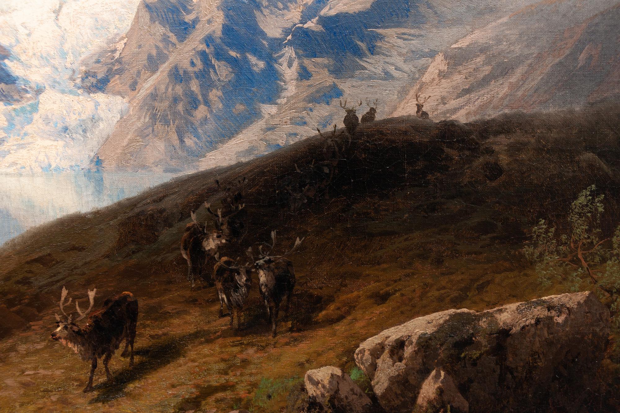 Highland with Reindeer