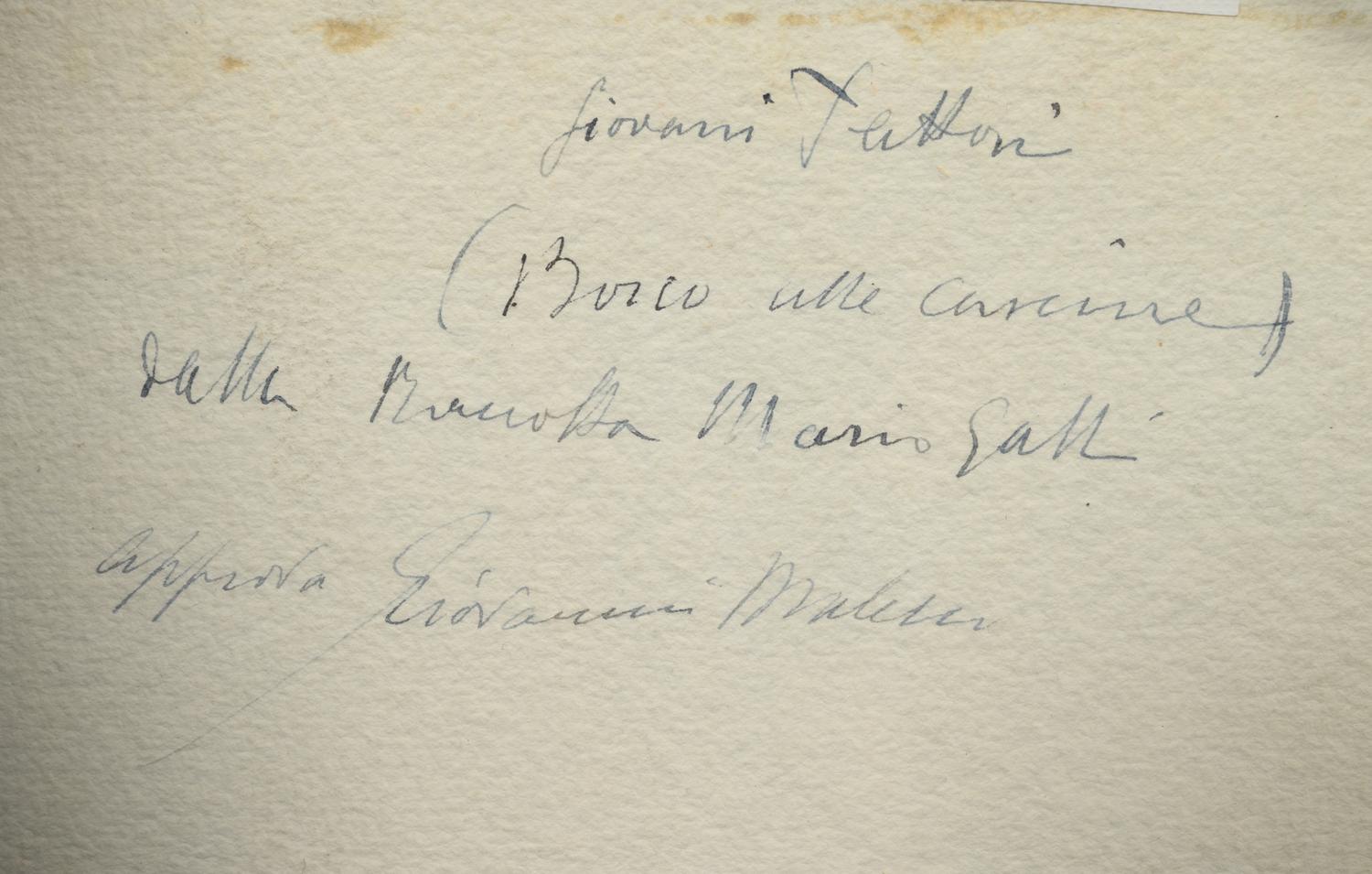 Bosco alle Cascine , c. 1880s