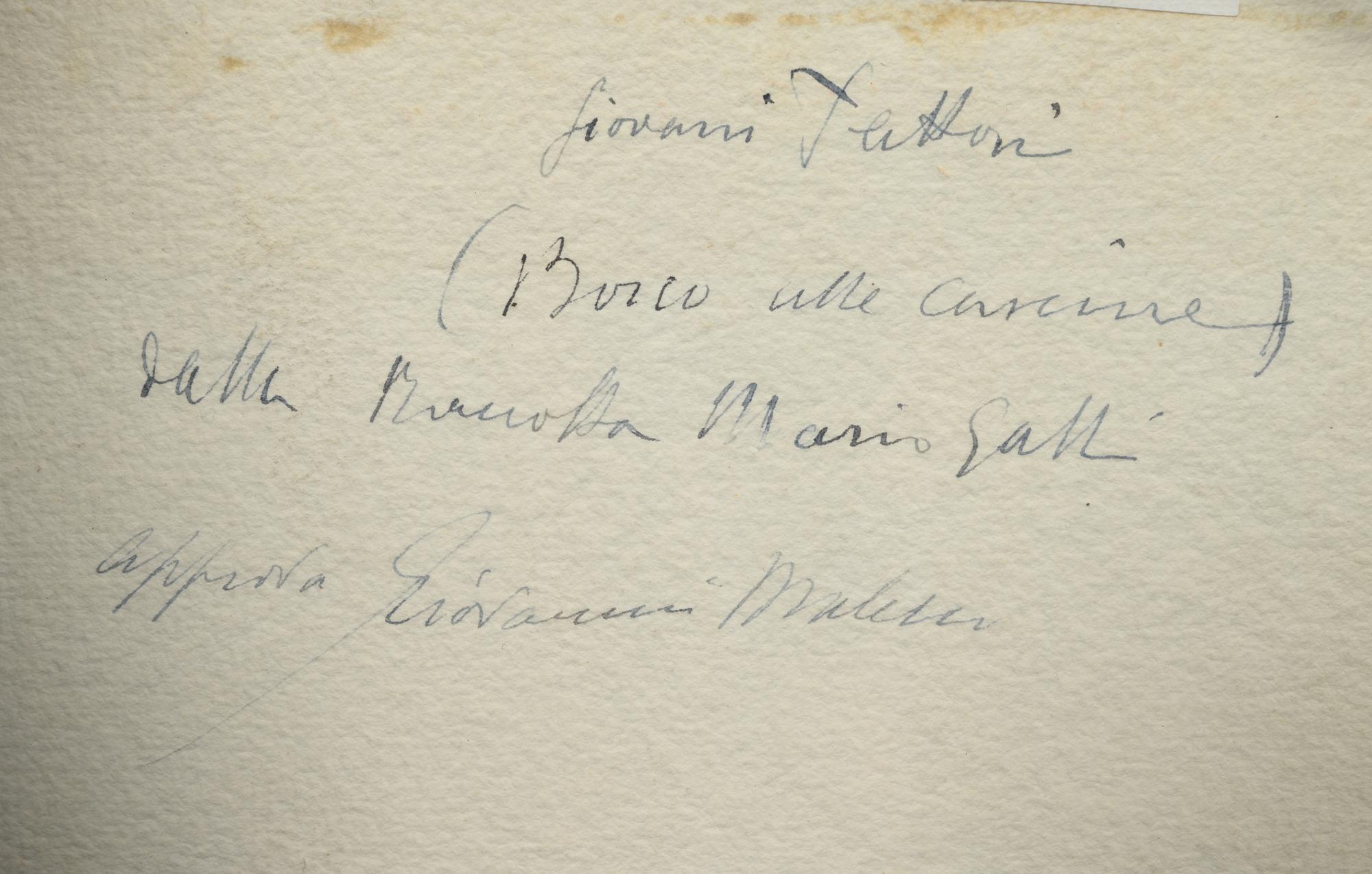 Bosco alle Cascine , c. 1880s