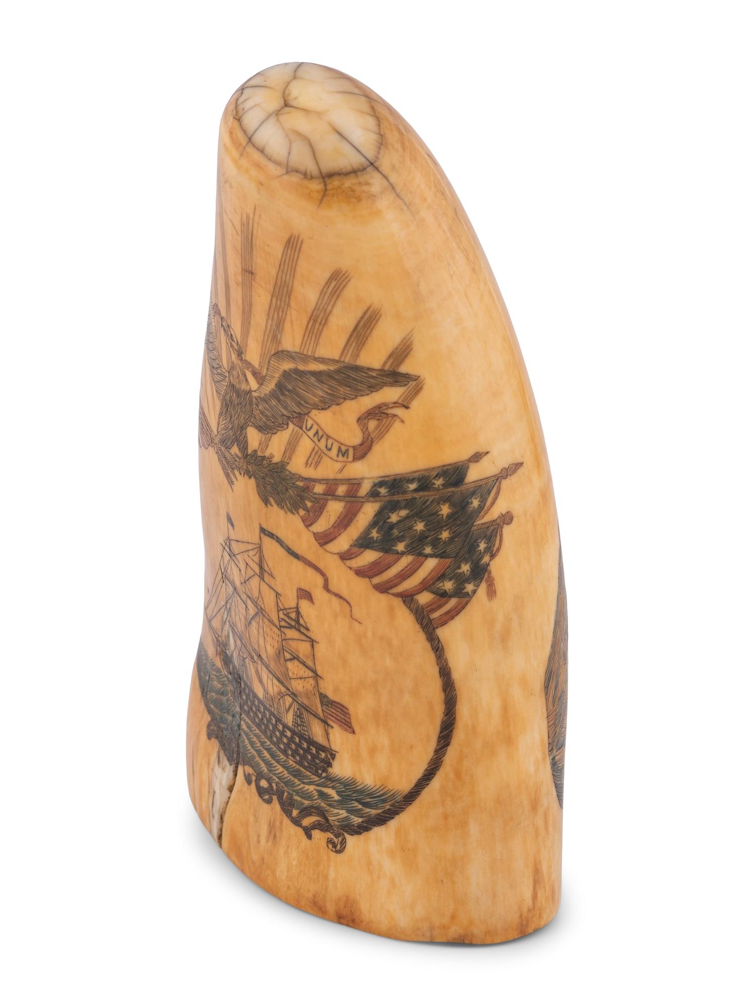 A Scrimshaw Tooth with Polychrome Depiction of the USS Pennsylvania
