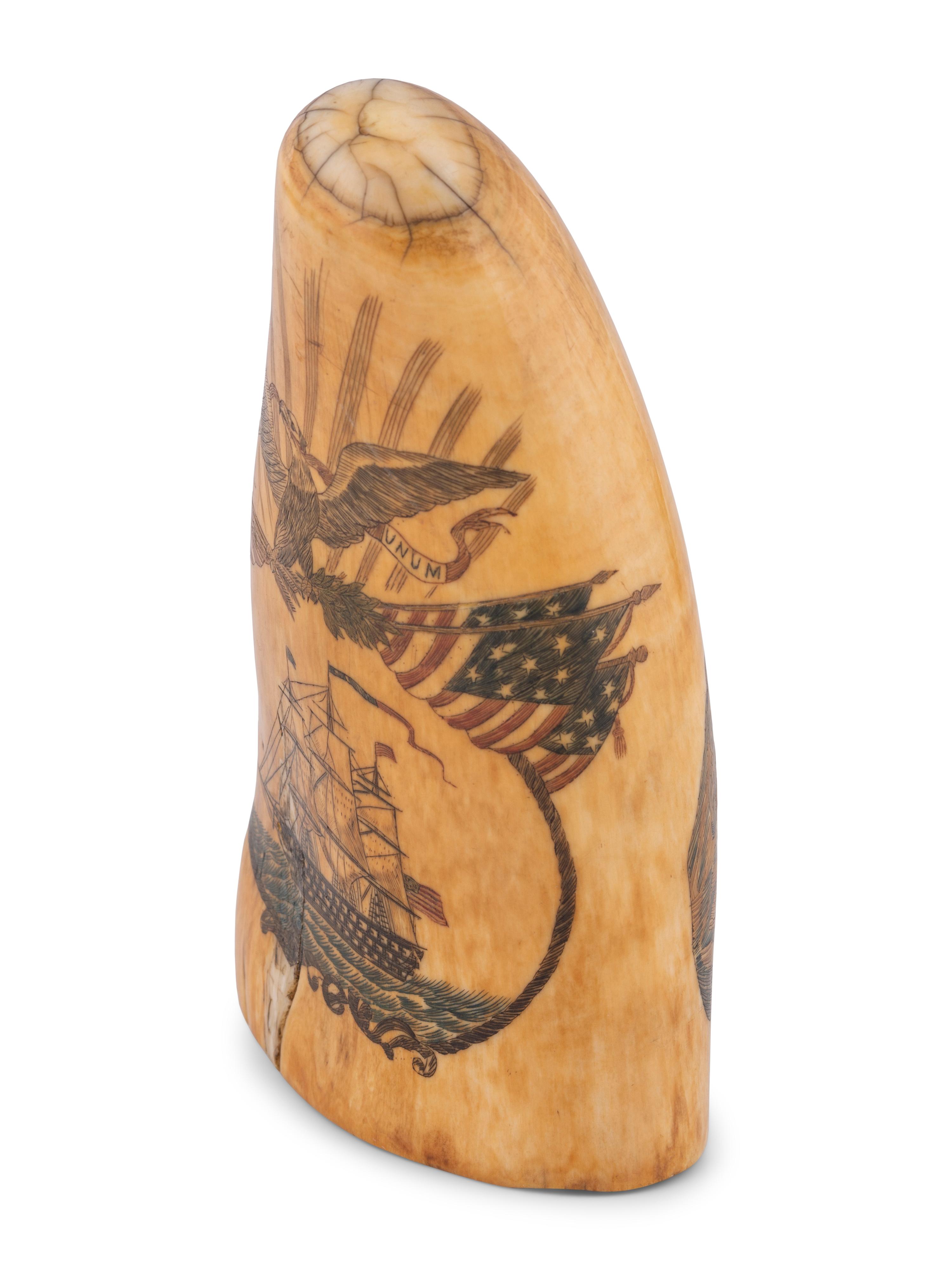 A Scrimshaw Tooth with Polychrome Depiction of the USS Pennsylvania