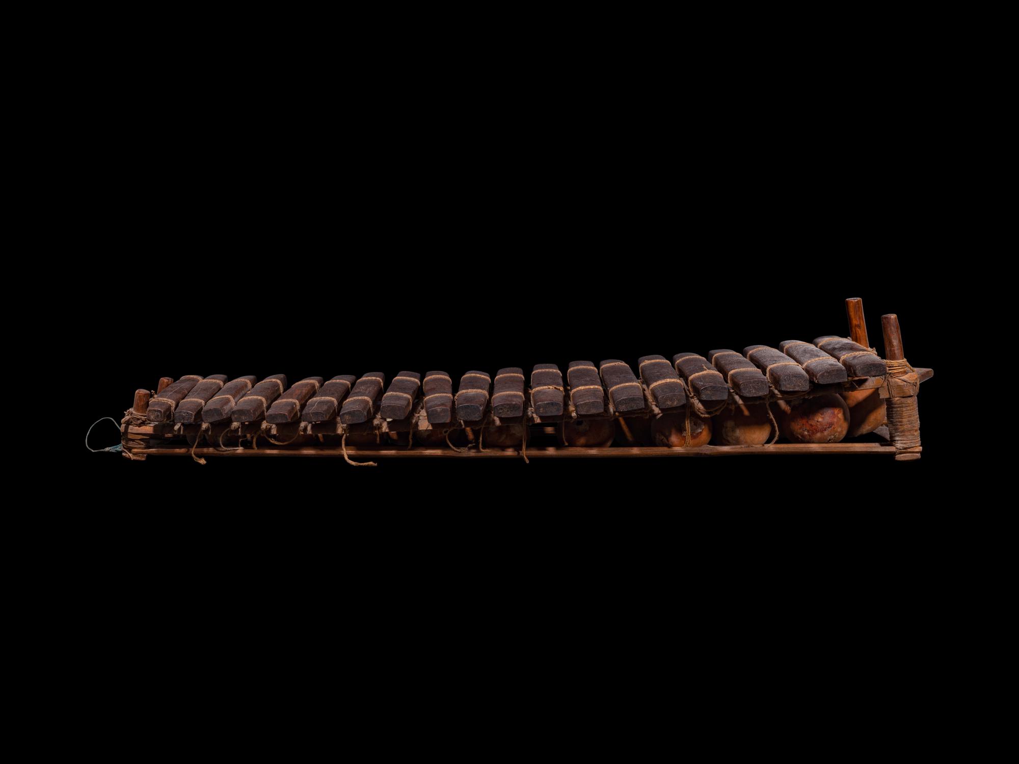 A Chinese Huanghuali Musical Instrument