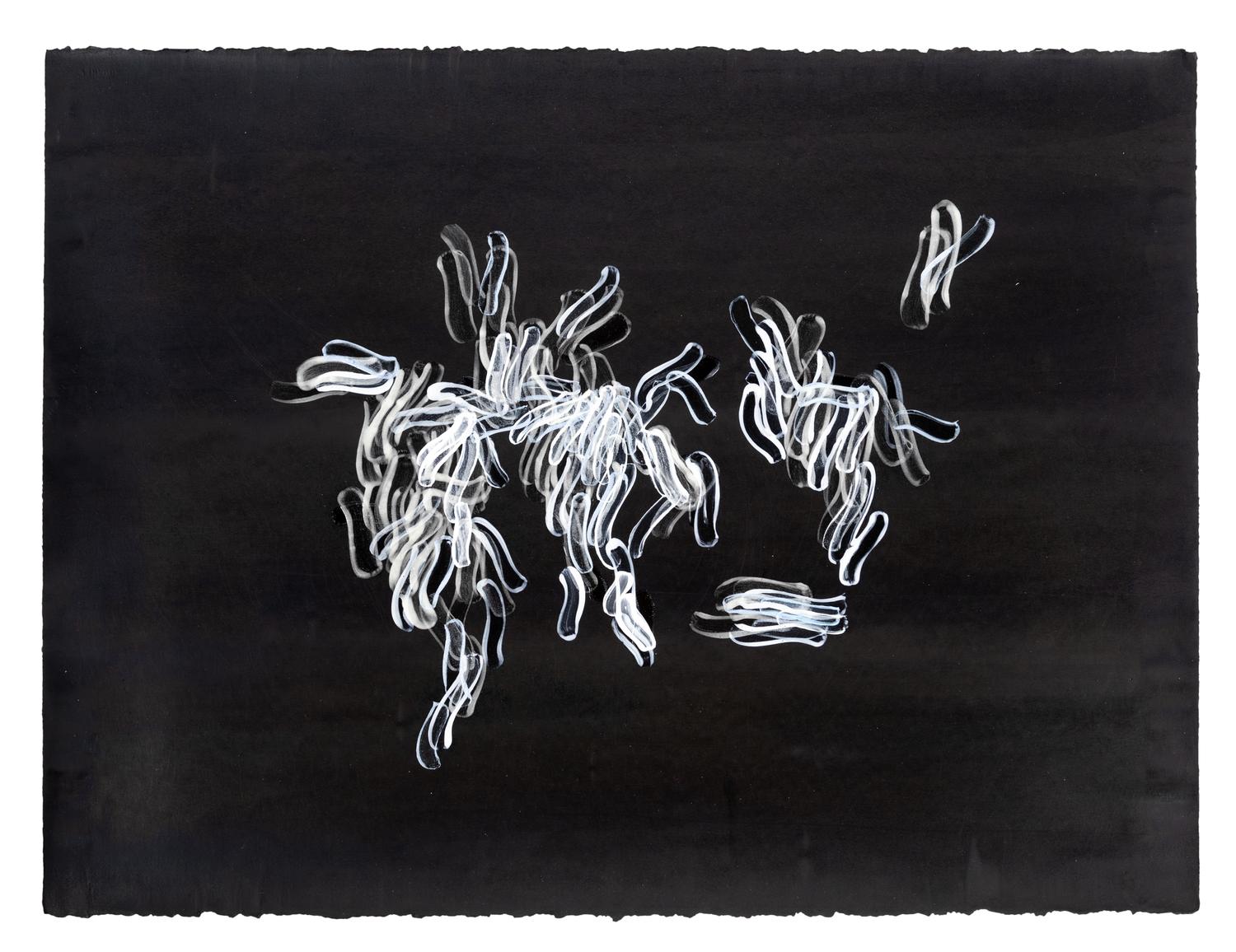 Hedge and Hedge (A Pair of Works), 2007