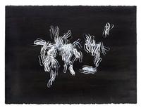 Hedge and Hedge (A Pair of Works), 2007
