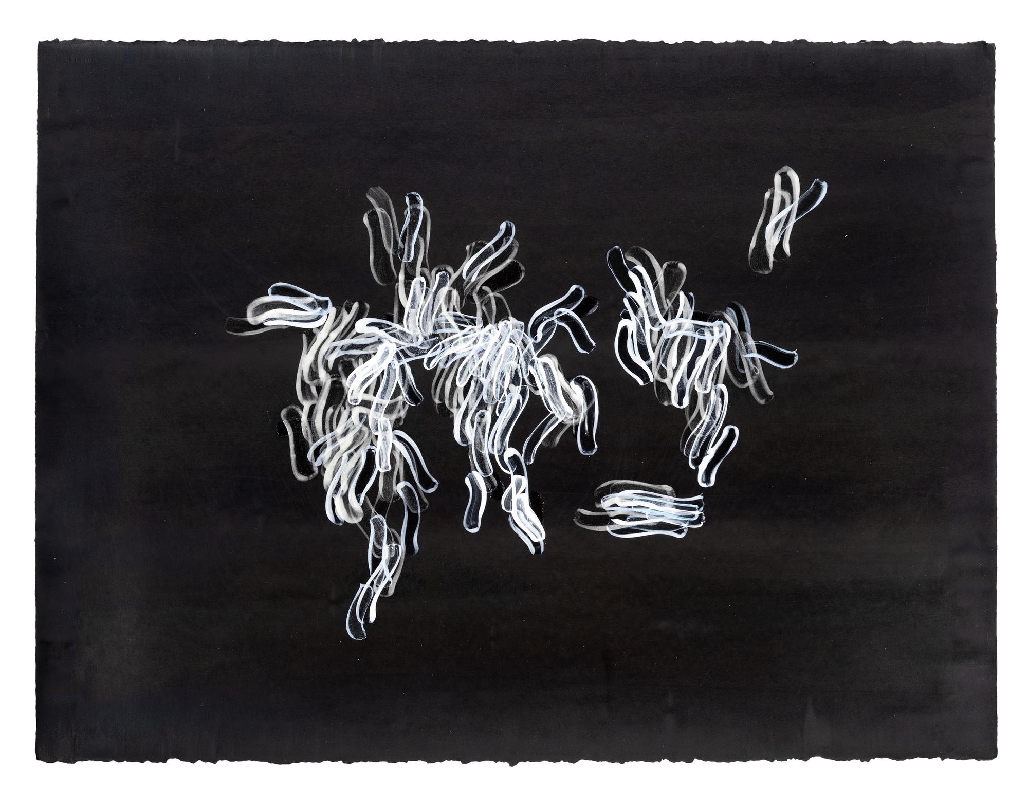 Hedge and Hedge (A Pair of Works), 2007