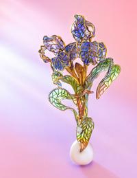 EVELYN CLOTHIER, AN ELEGANT PLIQUE-À-JOUR ENAMEL, DIAMOND AND CULTURED SOUTH SEA PEARL IRIS BROOCH