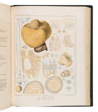 [EXPLORATION]. A group of 9 travel & exploration works, comprising: