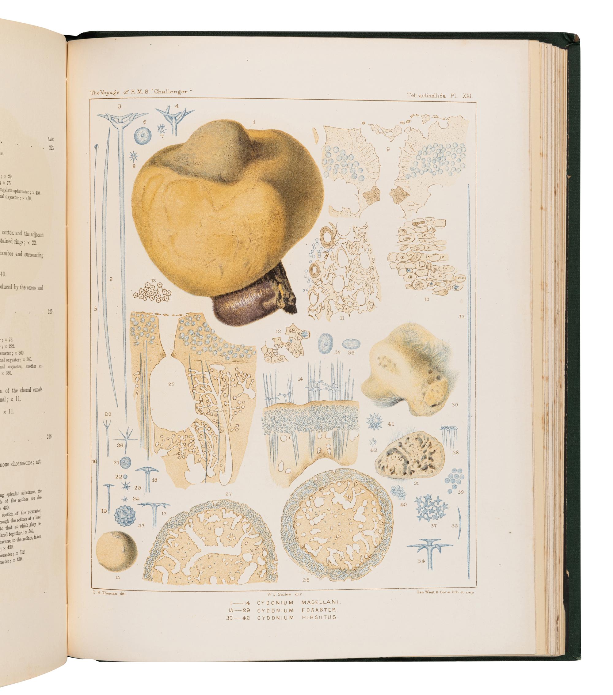[EXPLORATION]. A group of 9 travel & exploration works, comprising: