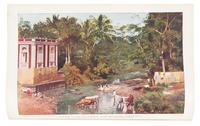 [PACIFIC] A group of works about the Pacific. Together, 3 works in 5 volumes.