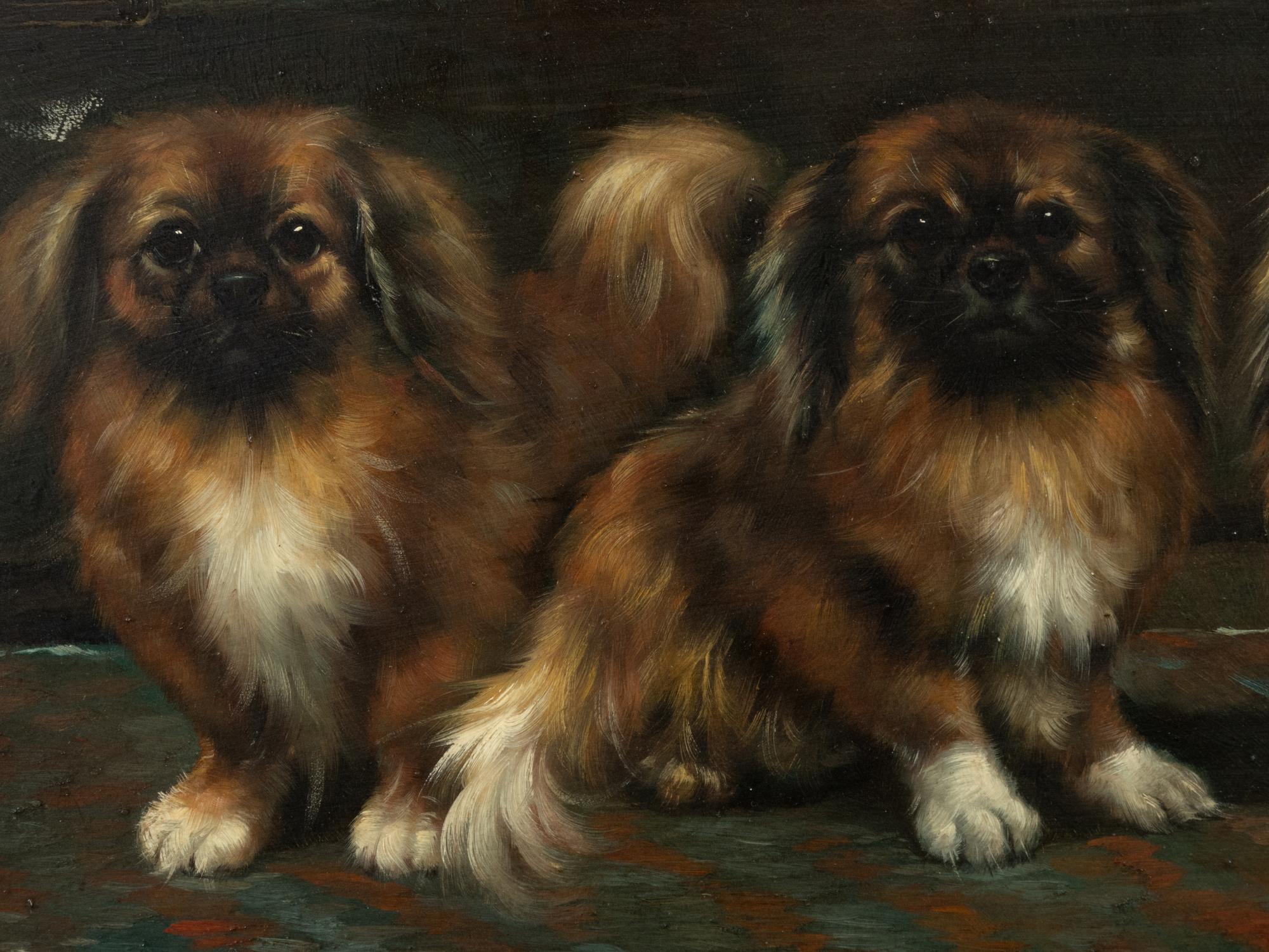Three Pekingese Dogs