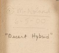 Desert Hybrid