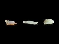 Three Carved Jade and Jadeite Fruit and Melon-Form Pendants