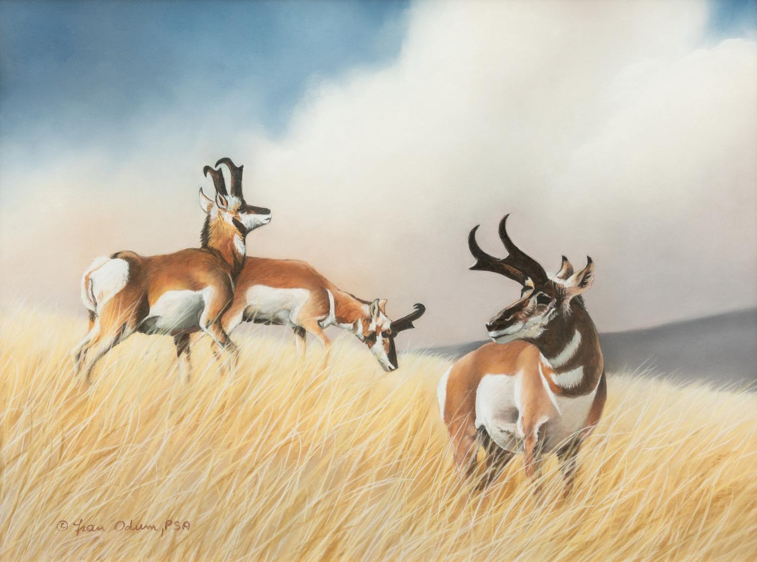 Something in the Wind , 1997