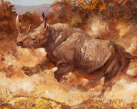 Rhino