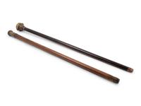 Two English Silver and Brass Mounted Explorer's Walking Sticks