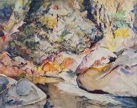 A River in the Smokies