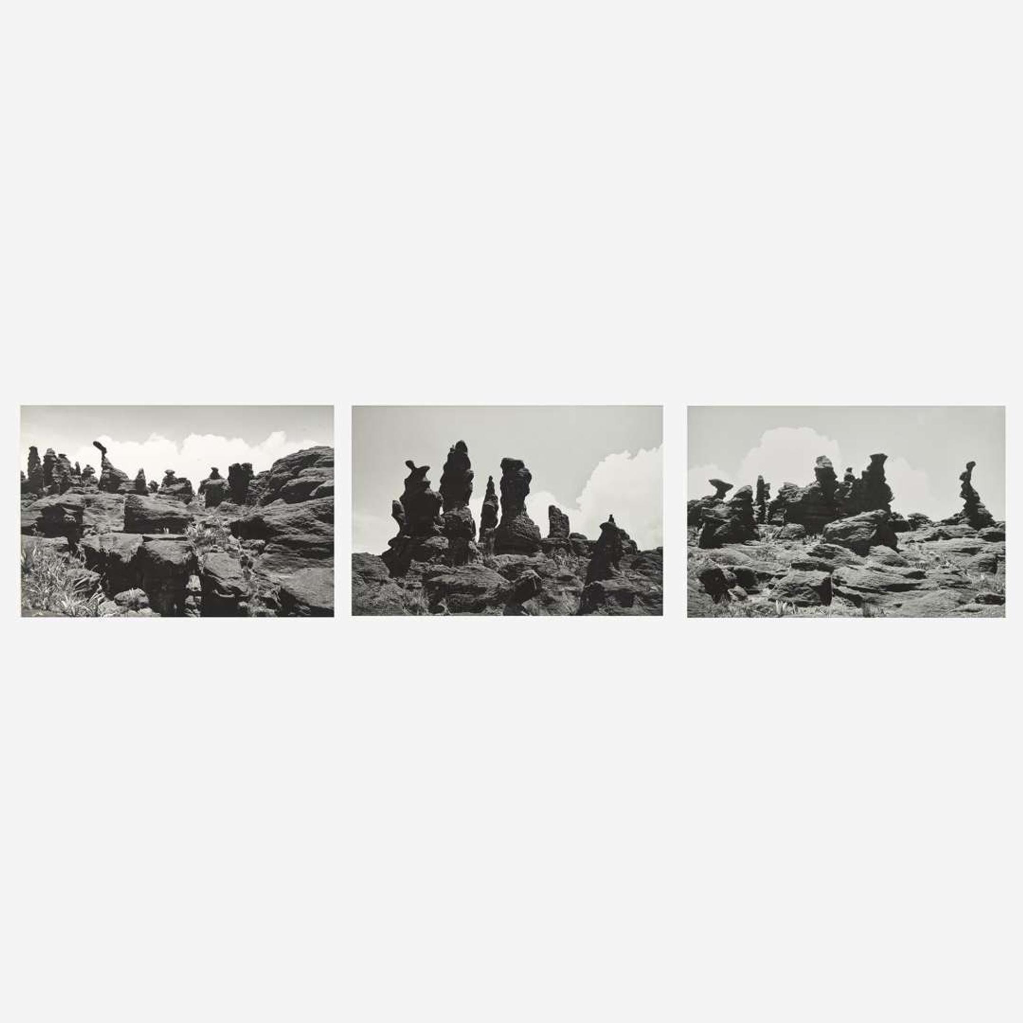 Lothar Baumgarten (German, 1944-2018) Kukenán-tepui, La Gran Sabana (3)