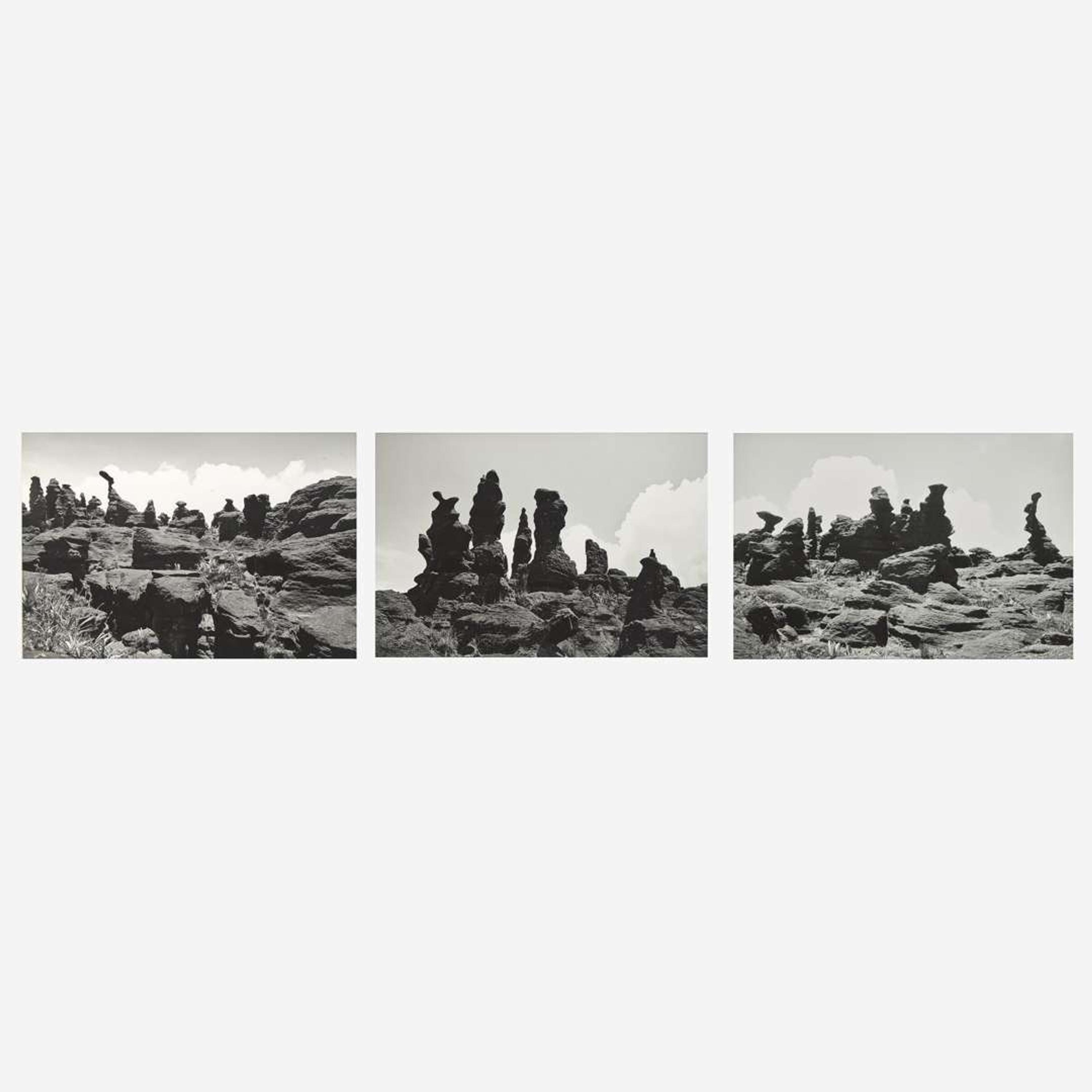 Lothar Baumgarten (German, 1944-2018) Kukenán-tepui, La Gran Sabana (3)