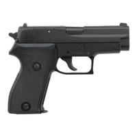 *Sig Sauer P225 in Box with Accessories