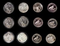 A Group of Fourteen American 1-Ounce Silver Rounds