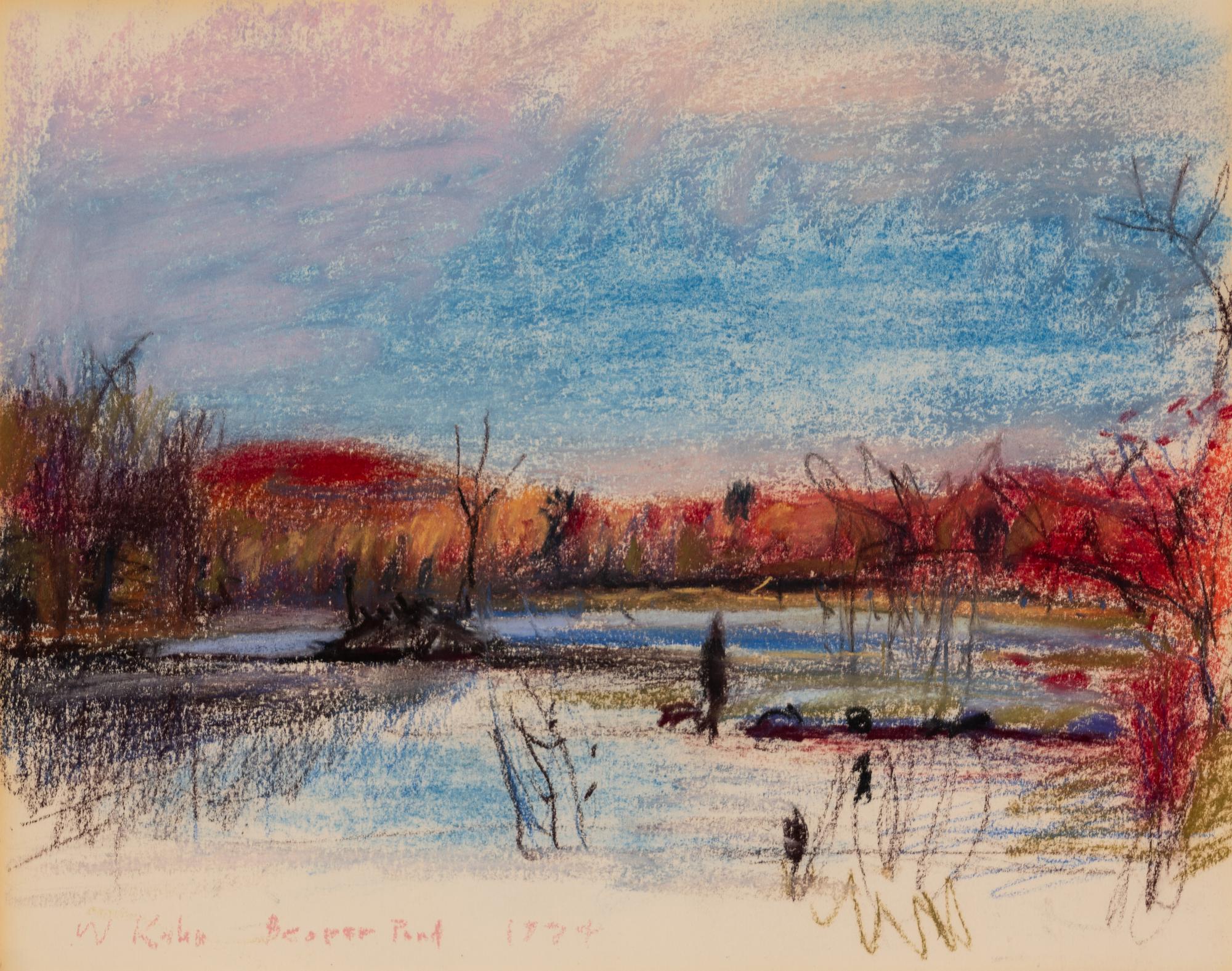 Beaver Pond , 1974