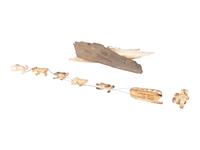 Inupiaq Carvings of Arctic Life