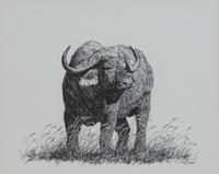 Africa's Big Six