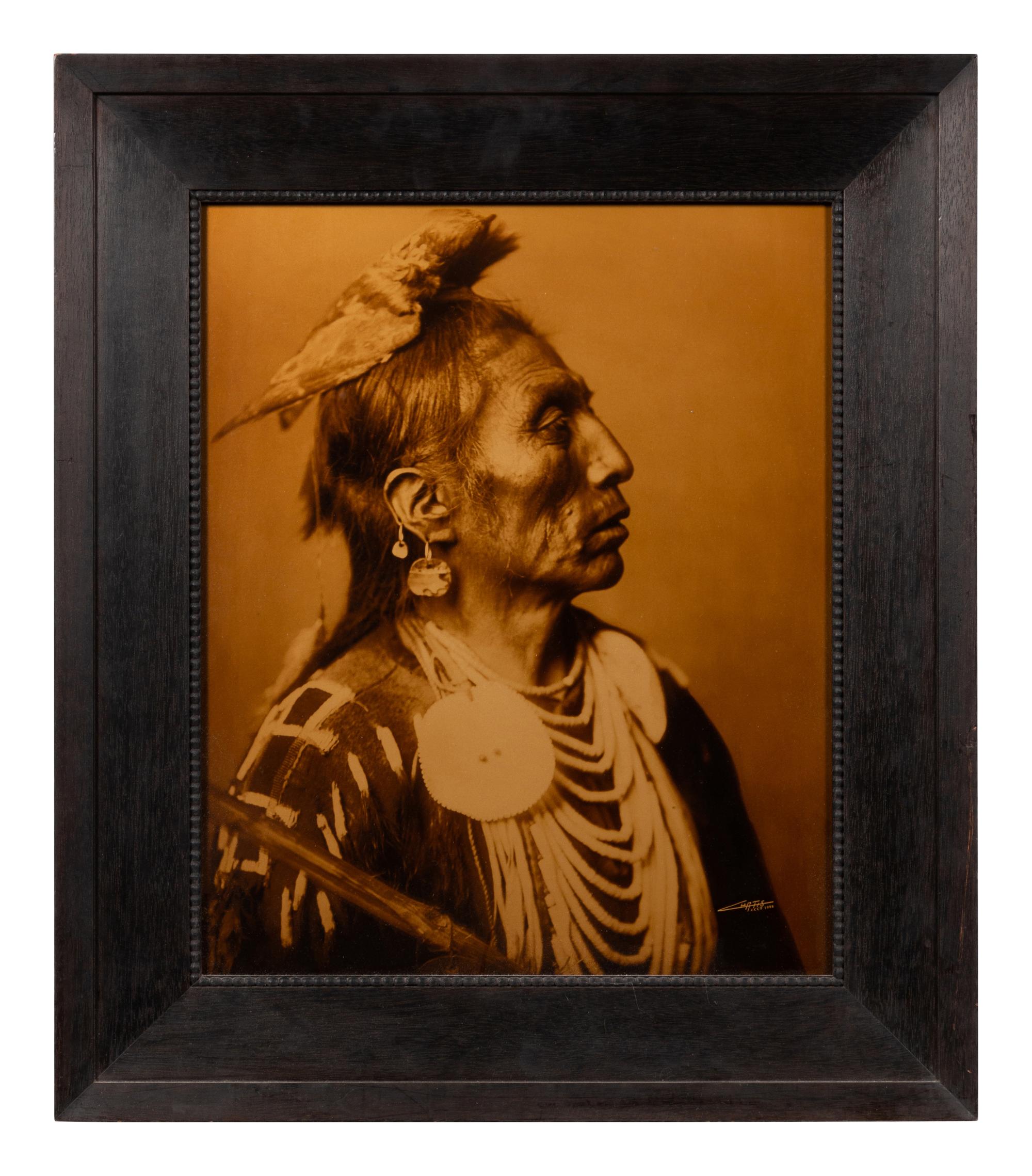 Medicine Crow - Apsaroke