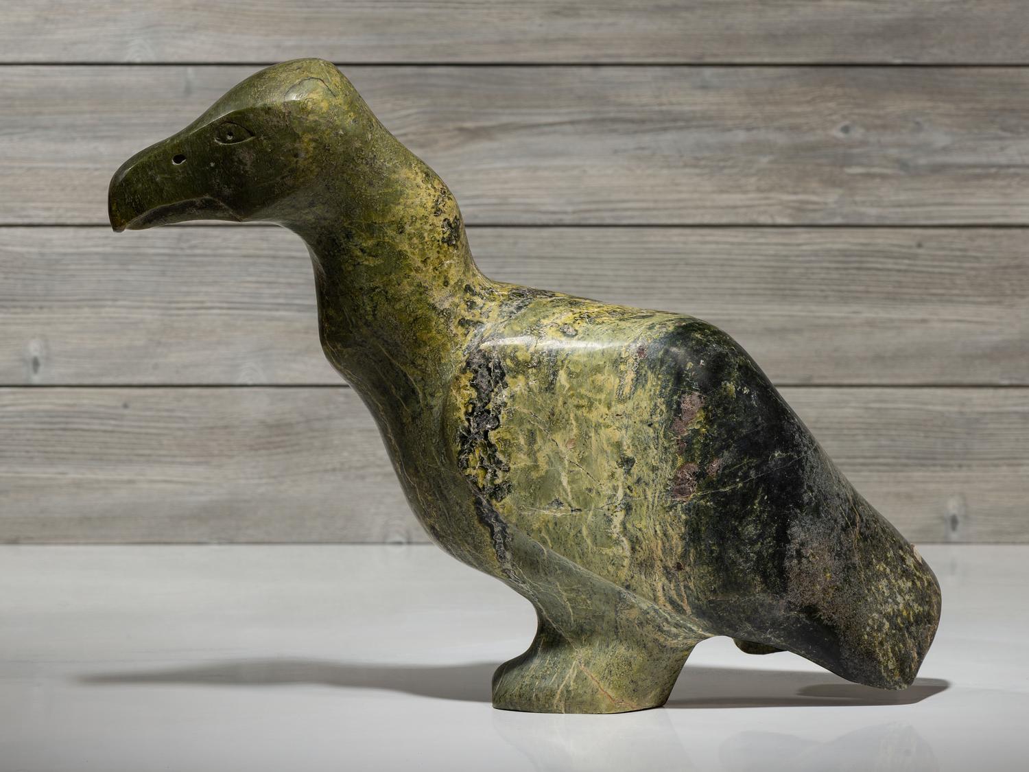 untitled, cormorant