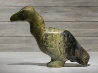 untitled, cormorant