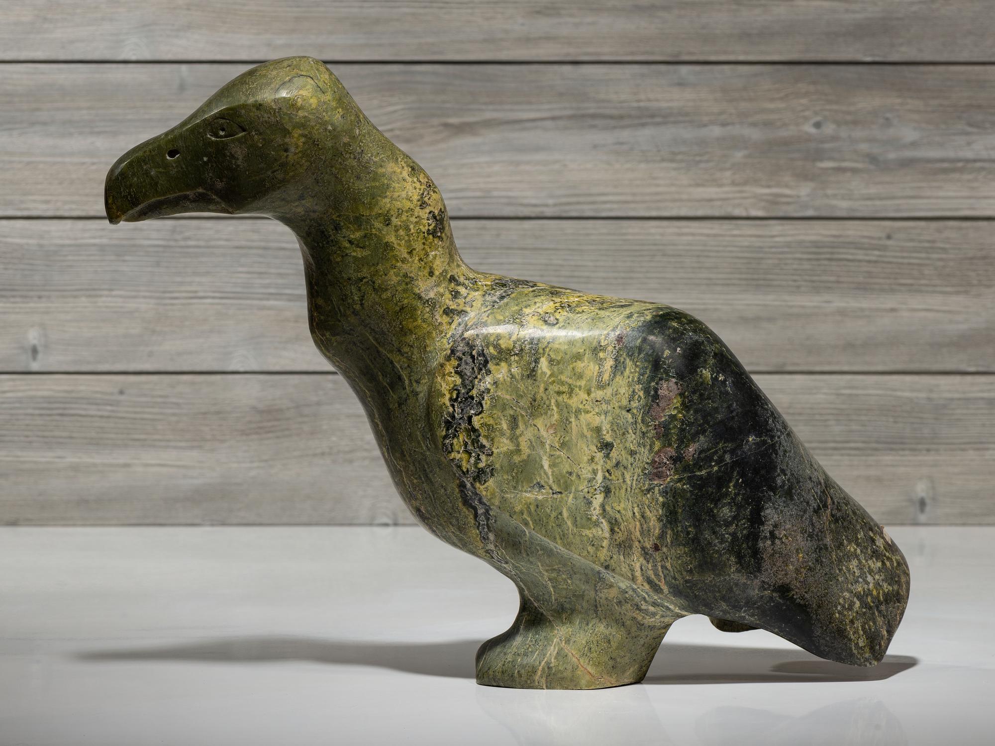 untitled, cormorant