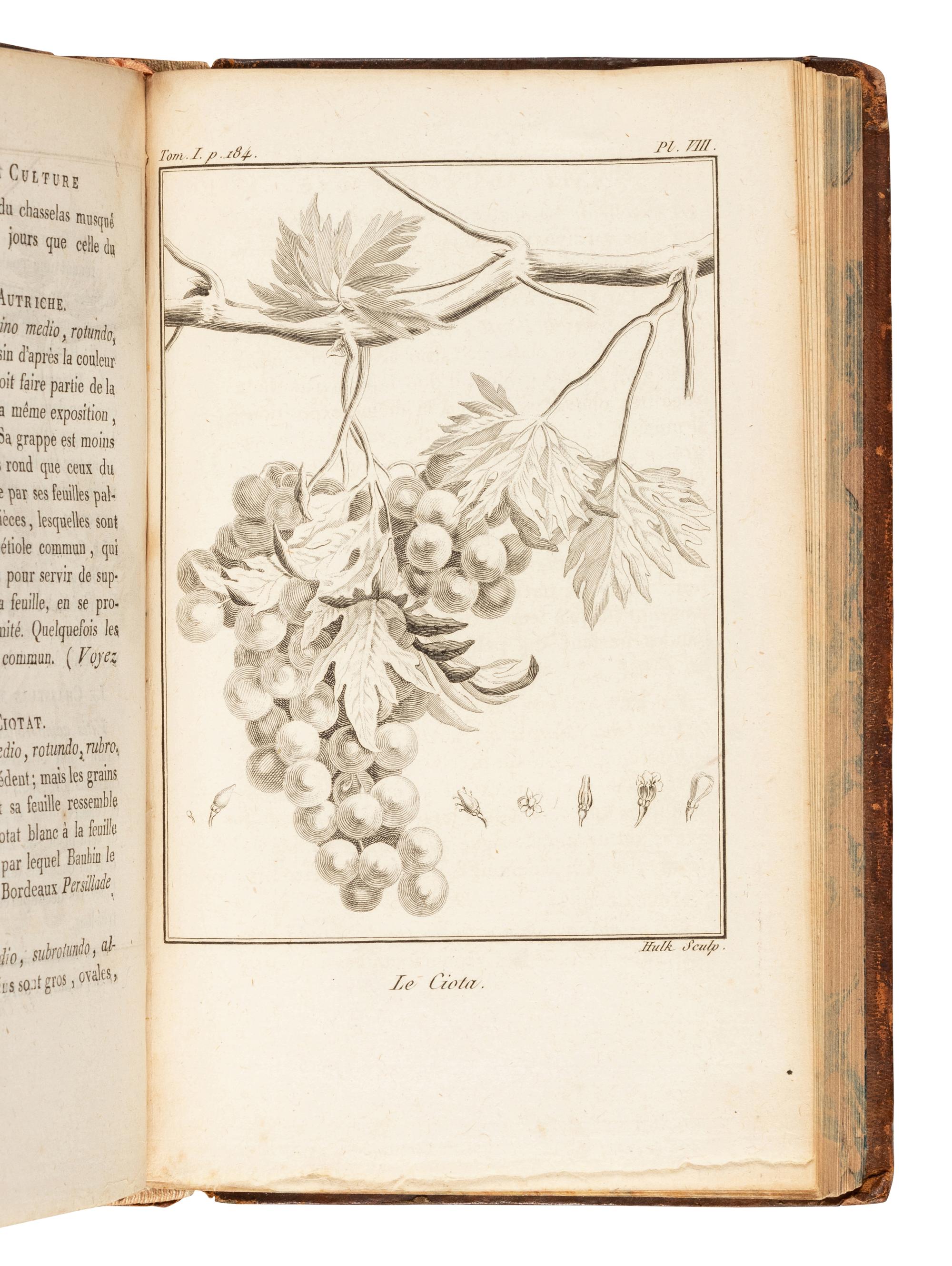 CHAPTAL, Jean Antoine Claude (1756-1832). Traite théorique et pratique sur la culture de la vigne, avec l'art de faire le vin, les eaux-de-vie, esprit de vin, vinaigres simples et composés…seconde édition . Paris: Marchant for Delalain fils, An X - 1801.