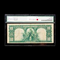 A Series 1901 Bison $10 Legal Tender Note [PMG VF20]